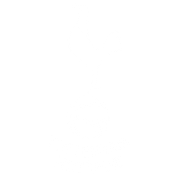 Tottenham badge